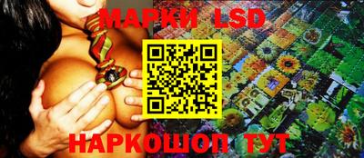 apvp Можга