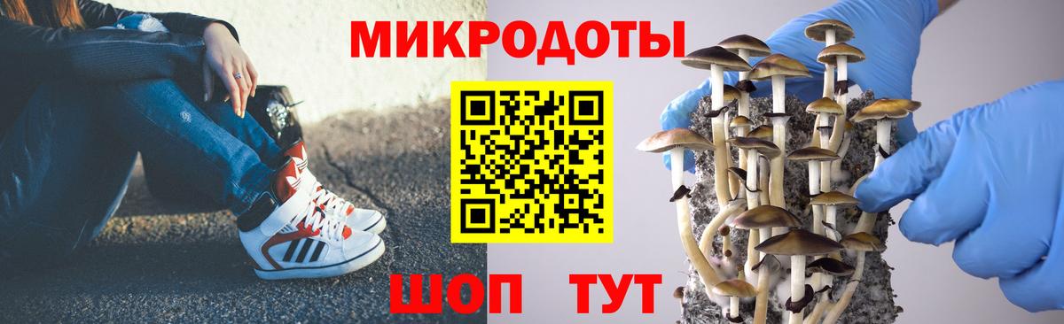 Галлюциногенные грибы GOLDEN TEACHER Владивосток